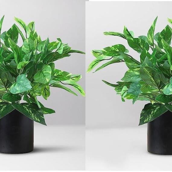 Artificial Money Plant | Superior Quality Silk Leaves | Decorative Table Centerpiece with Melamine Pot
