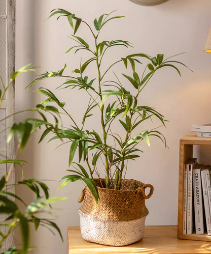 Artificial Enkianthus Tree in Pot – Faux Bamboo Leaves