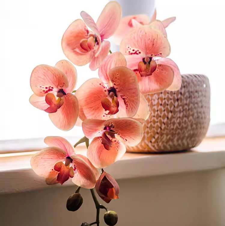 Artificial Butterfly Orchid Stem in Pink 27.5" Tall