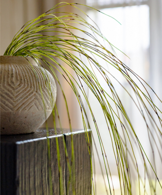 Artificial Horsetail Vine - Hanging Ikebana Plant (78.7")