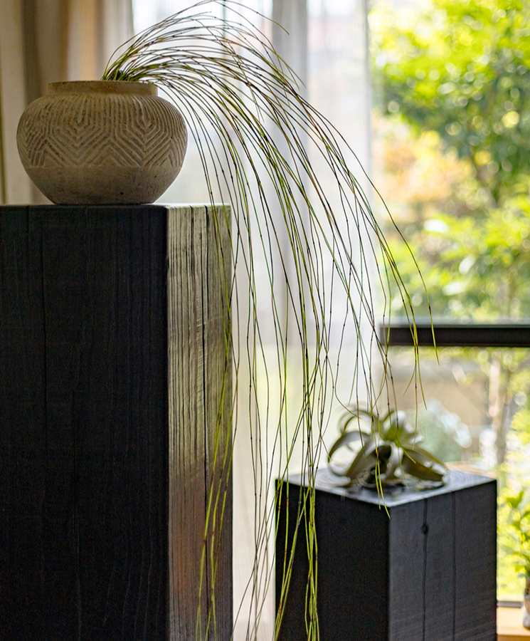 Artificial Horsetail Vine - Hanging Ikebana Plant (78.7")