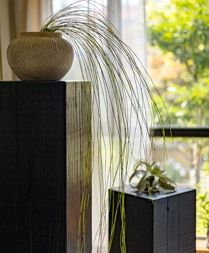 Artificial Horsetail Vine - Hanging Ikebana Plant (78.7")