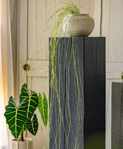 Artificial Horsetail Vine - Hanging Ikebana Plant (78.7")