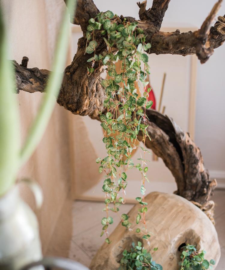 Artificial Begonia Leaf Hanging Vine – Handmade Faux Greenery (27.6" Long)