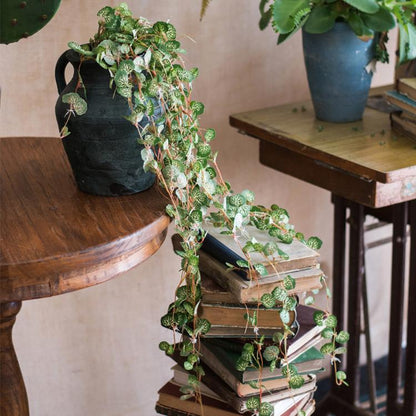 Artificial Begonia Leaf Hanging Vine – Handmade Faux Greenery (27.6" Long)