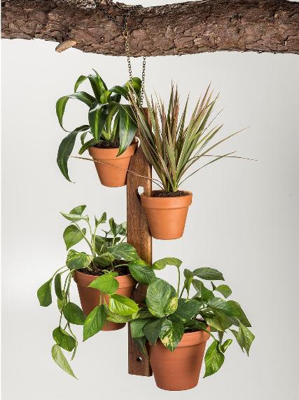 4-Pot Hanging Plant Holder with Adjustable Chain – Versatile Display for Terra Cotta Pots