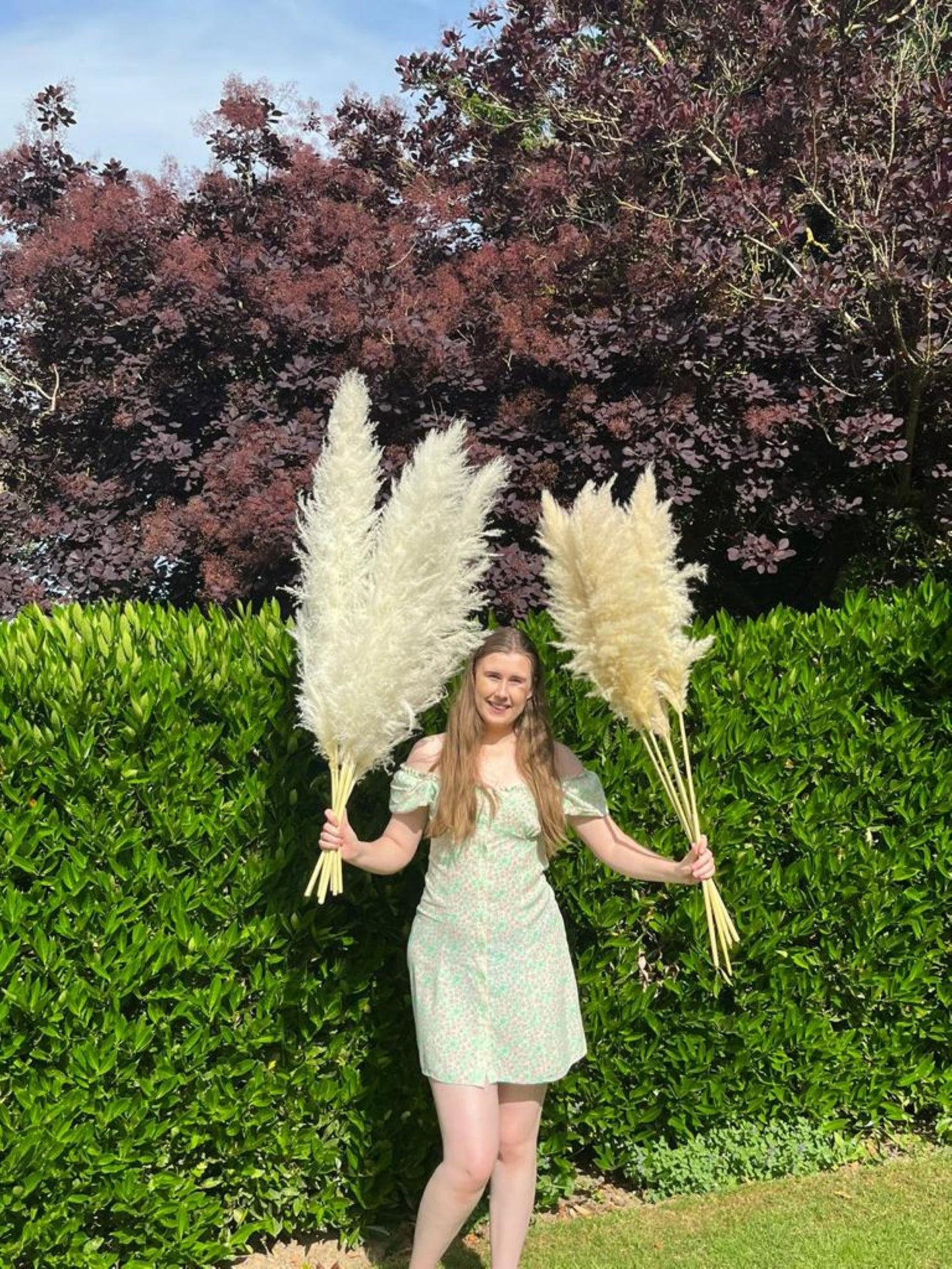 Natural Cream Pampas Grass 120cm – Set of 5 Tall Fluffy Stems | Light Beige Boho Decor