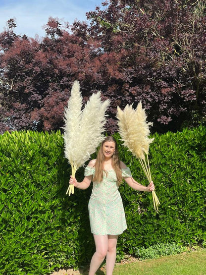 Natural Cream Pampas Grass 120cm – Set of 5 Tall Fluffy Stems | Light Beige Boho Decor