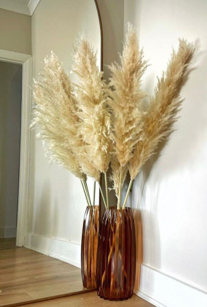 Natural Cream Pampas Grass 120cm – Set of 5 Tall Fluffy Stems | Light Beige Boho Decor